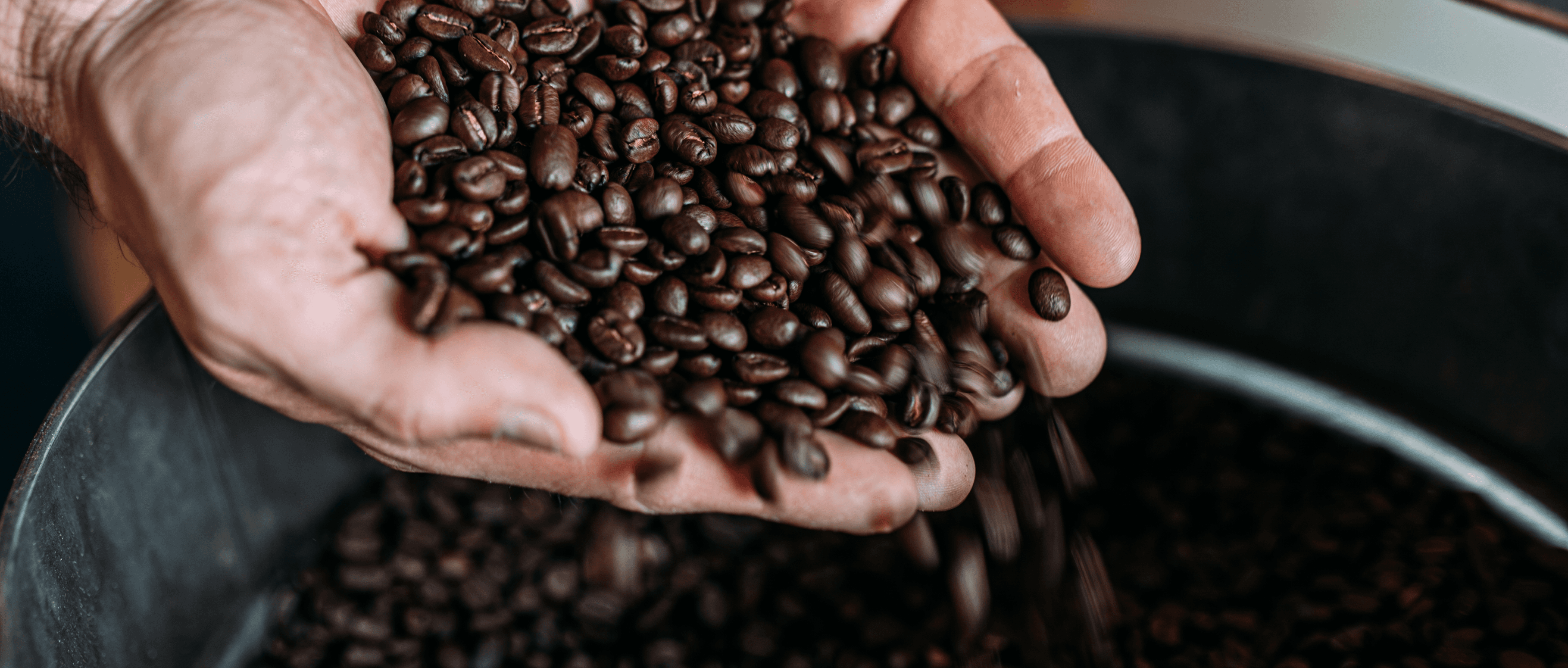 Curso de barista Volveme Academy